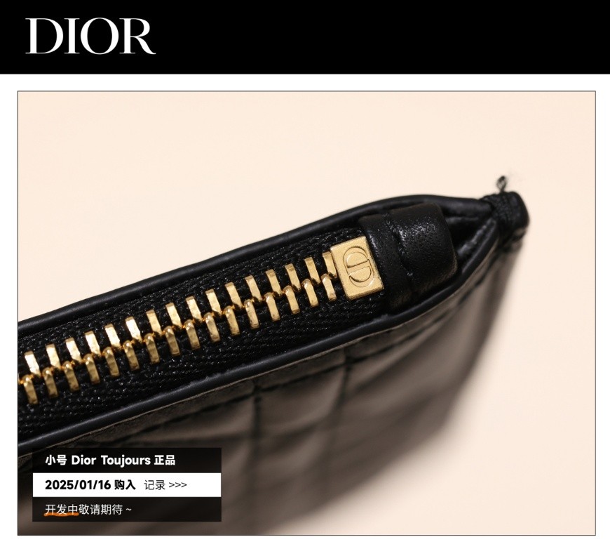 Shebag Super replica Dior Toujours bag details research(August 2025 updated)-Интернет-магазин поддельной сумки Louis Vuitton лучшего качества, копия дизайнерской сумки ru