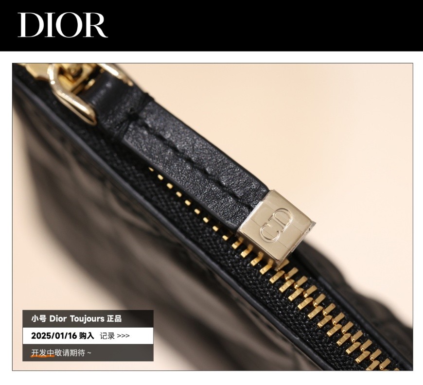 Shebag Super replica Dior Toujours bag details research(August 2025 updated)-Интернет-магазин поддельной сумки Louis Vuitton лучшего качества, копия дизайнерской сумки ru