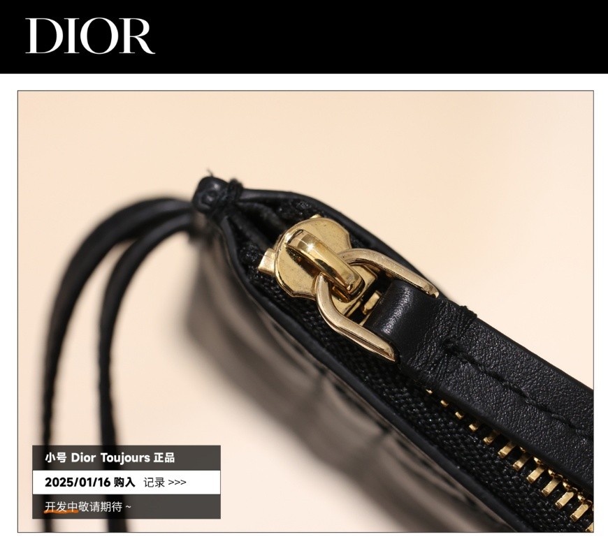 Shebag Super replica Dior Toujours bag details research(August 2025 updated)-Интернет-магазин поддельной сумки Louis Vuitton лучшего качества, копия дизайнерской сумки ru