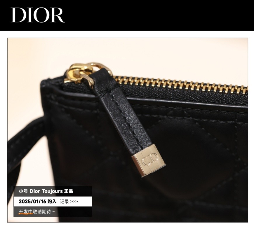 Shebag Super replica Dior Toujours bag details research(August 2025 updated)-Интернет-магазин поддельной сумки Louis Vuitton лучшего качества, копия дизайнерской сумки ru