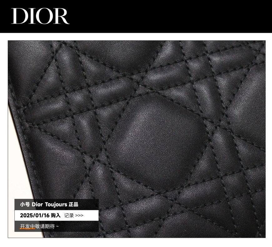 Shebag Super replica Dior Toujours bag details research(August 2025 updated)-Интернет-магазин поддельной сумки Louis Vuitton лучшего качества, копия дизайнерской сумки ru