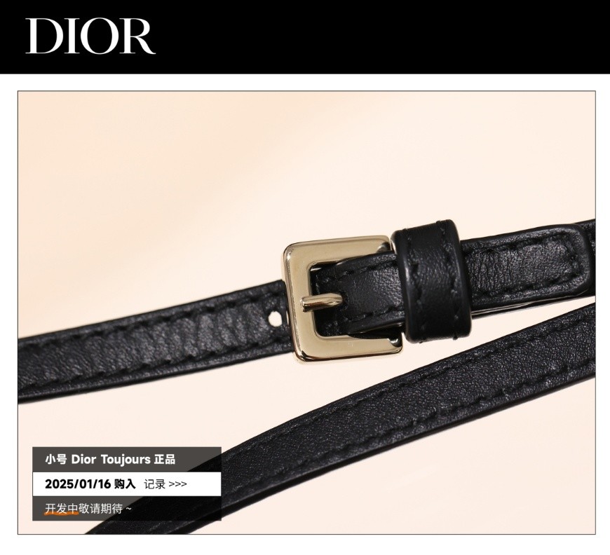 Shebag Super replica Dior Toujours bag details research(August 2025 updated)-Интернет-магазин поддельной сумки Louis Vuitton лучшего качества, копия дизайнерской сумки ru