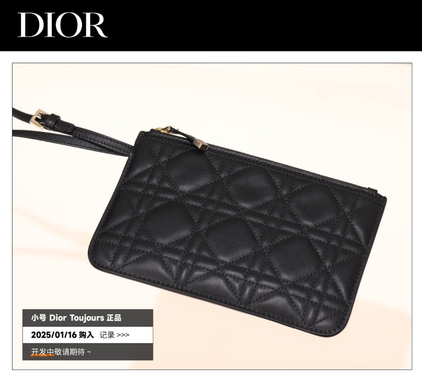 Shebag Super replica Dior Toujours bag details research(August 2025 updated)-Интернет-магазин поддельной сумки Louis Vuitton лучшего качества, копия дизайнерской сумки ru