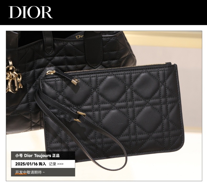 Shebag Super replica Dior Toujours bag details research(August 2025 updated)-Интернет-магазин поддельной сумки Louis Vuitton лучшего качества, копия дизайнерской сумки ru