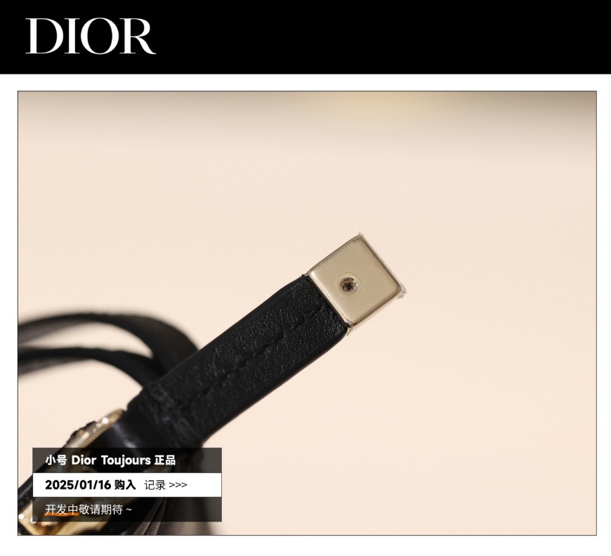 Shebag Super replica Dior Toujours bag details research(August 2025 updated)-Интернет-магазин поддельной сумки Louis Vuitton лучшего качества, копия дизайнерской сумки ru