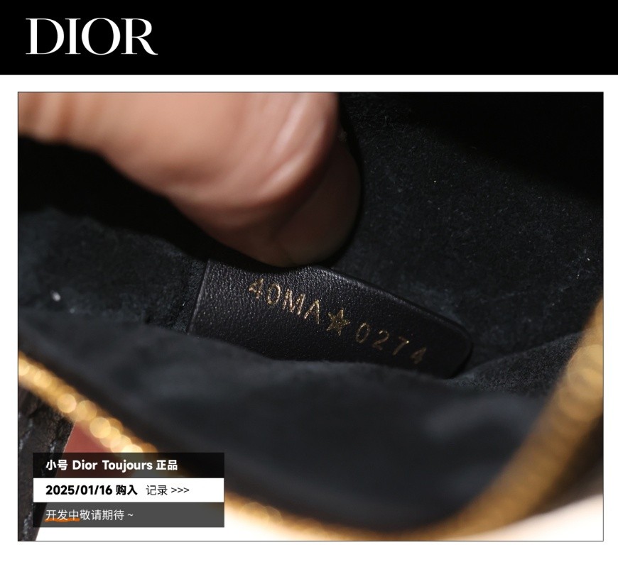 Shebag Super replica Dior Toujours bag details research(August 2025 updated)-Интернет-магазин поддельной сумки Louis Vuitton лучшего качества, копия дизайнерской сумки ru