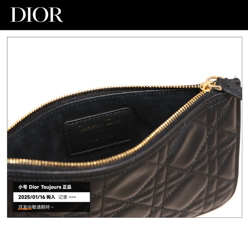 Shebag Super replica Dior Toujours bag details research(August 2025 updated)-Интернет-магазин поддельной сумки Louis Vuitton лучшего качества, копия дизайнерской сумки ru