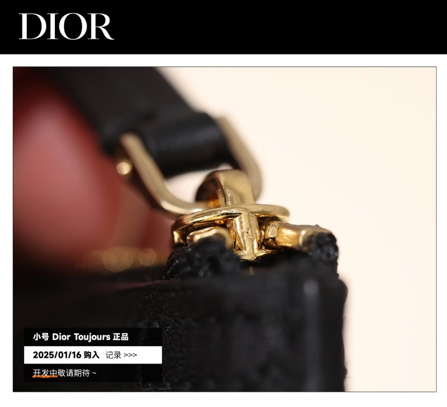 Shebag Super replica Dior Toujours bag details research(August 2025 updated)-Интернет-магазин поддельной сумки Louis Vuitton лучшего качества, копия дизайнерской сумки ru