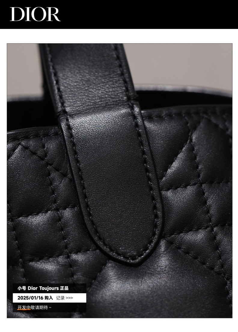 Shebag Super replica Dior Toujours bag details research(August 2025 updated)-Интернет-магазин поддельной сумки Louis Vuitton лучшего качества, копия дизайнерской сумки ru