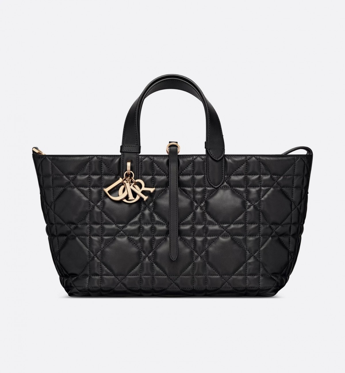 Dior Toujours medium Shebag VS Authentic bag review(August 2025 updated)-Ti o dara ju Didara iro Louis Vuitton apo Online itaja, Ajọra onise apo ru