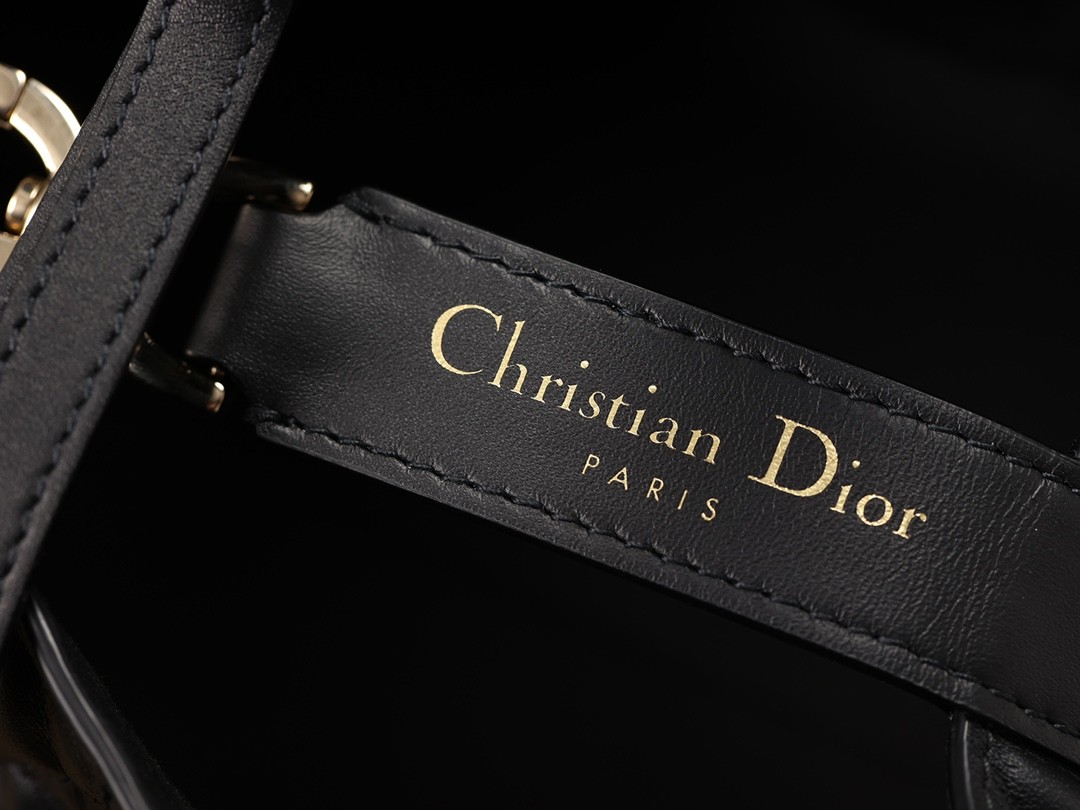 Dior Toujours medium Shebag VS Authentic bag review(August 2025 updated)-Ti o dara ju Didara iro Louis Vuitton apo Online itaja, Ajọra onise apo ru