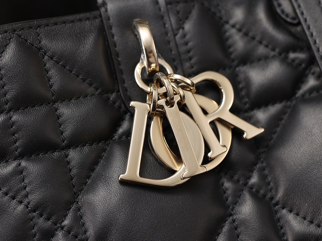 Dior Toujours medium Shebag VS Authentic bag review(August 2025 updated)-Ti o dara ju Didara iro Louis Vuitton apo Online itaja, Ajọra onise apo ru