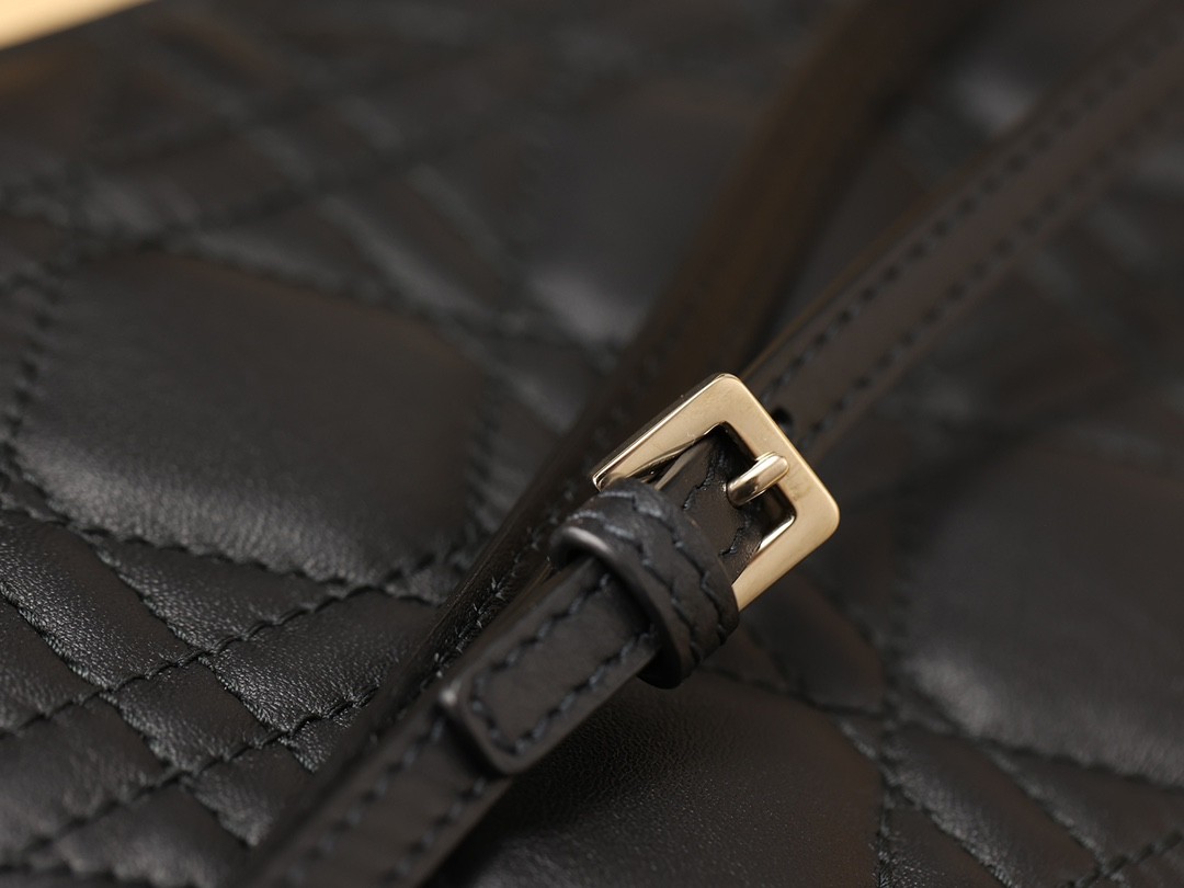 Dior Toujours medium Shebag VS Authentic bag review(August 2025 updated)-Ti o dara ju Didara iro Louis Vuitton apo Online itaja, Ajọra onise apo ru