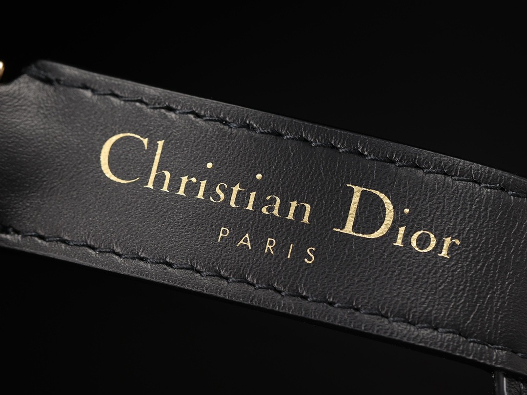 Dior Toujours medium Shebag VS Authentic bag review(August 2025 updated)-Ti o dara ju Didara iro Louis Vuitton apo Online itaja, Ajọra onise apo ru