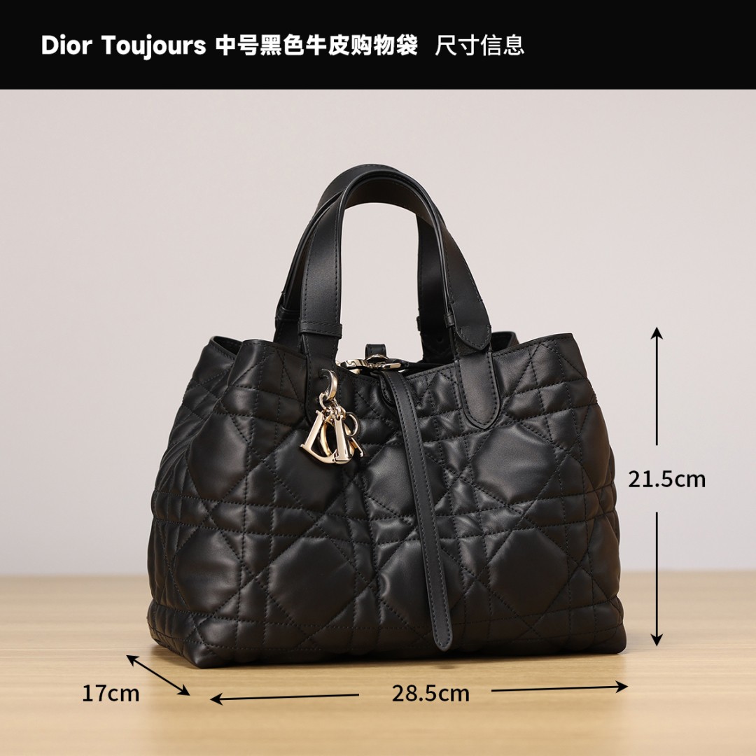 Dior Toujours medium Shebag VS Authentic bag review(August 2025 updated)-Ti o dara ju Didara iro Louis Vuitton apo Online itaja, Ajọra onise apo ru