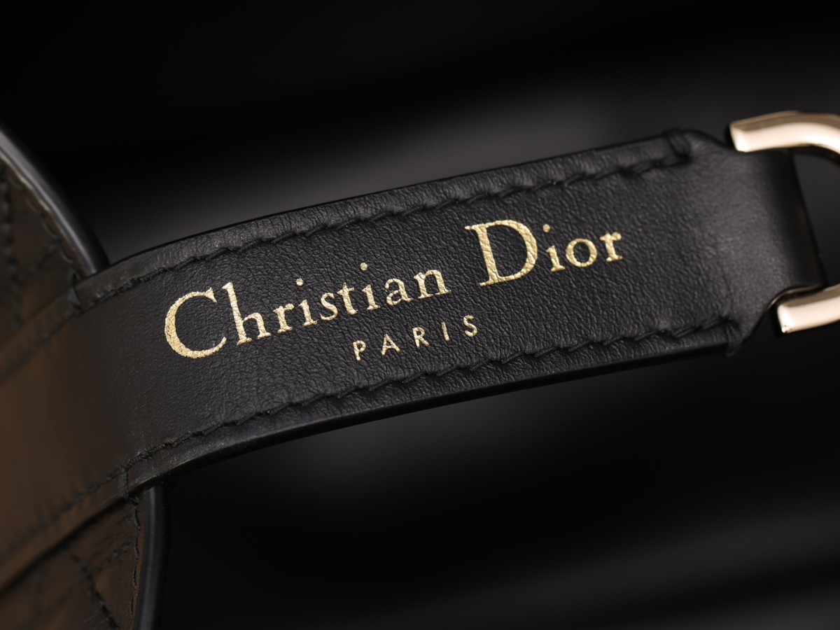 Shebag Super replica Dior toujours large bag review(August 2025 updated)-Online obchod s falošnou taškou Louis Vuitton najvyššej kvality, replika značkovej tašky ru