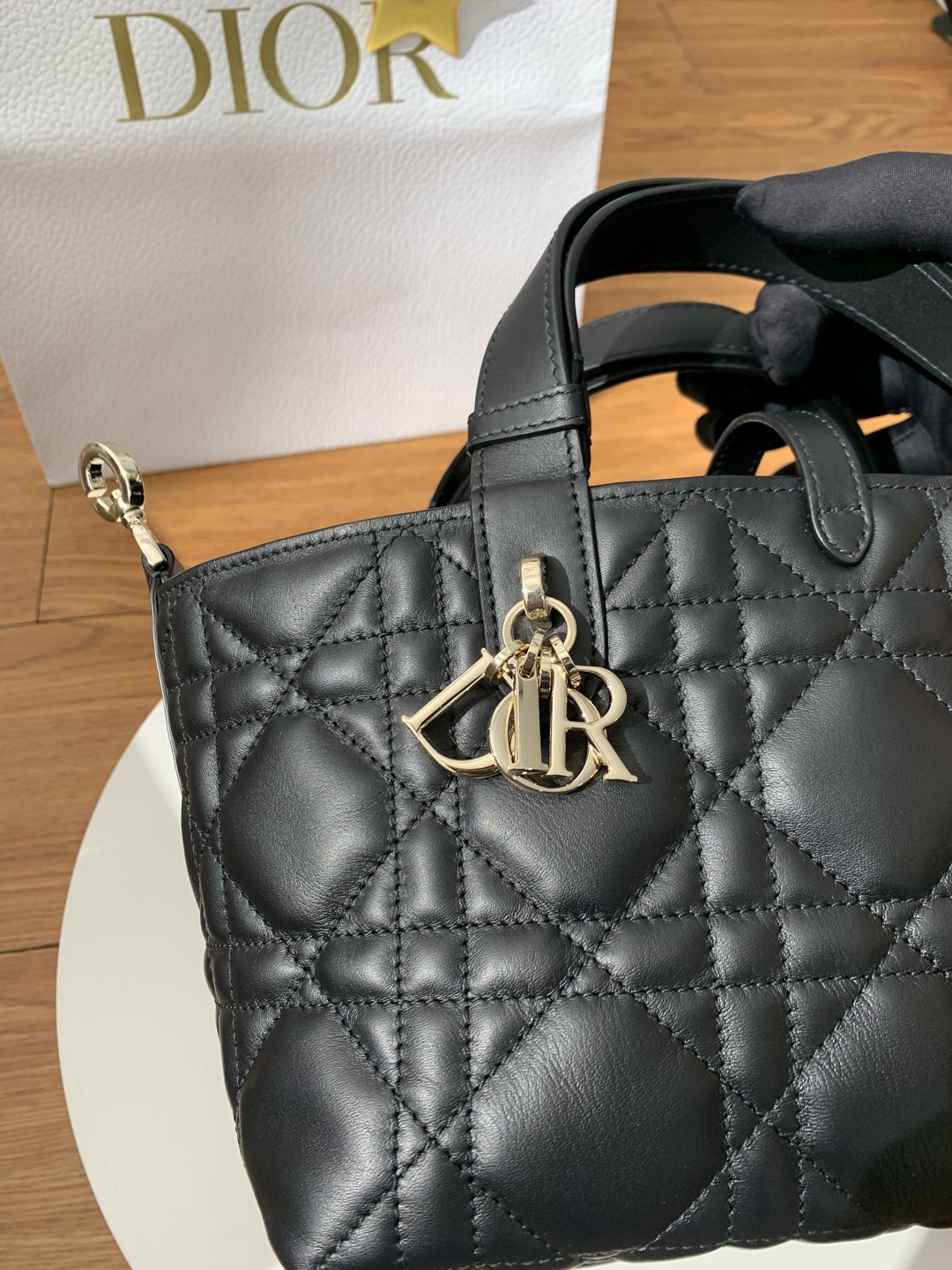 Shebag Super replica Dior toujours large bag review(August 2025 updated)-Online obchod s falošnou taškou Louis Vuitton najvyššej kvality, replika značkovej tašky ru