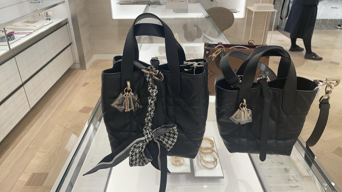 Shebag Super replica Dior toujours large bag review(August 2025 updated)-Online obchod s falošnou taškou Louis Vuitton najvyššej kvality, replika značkovej tašky ru