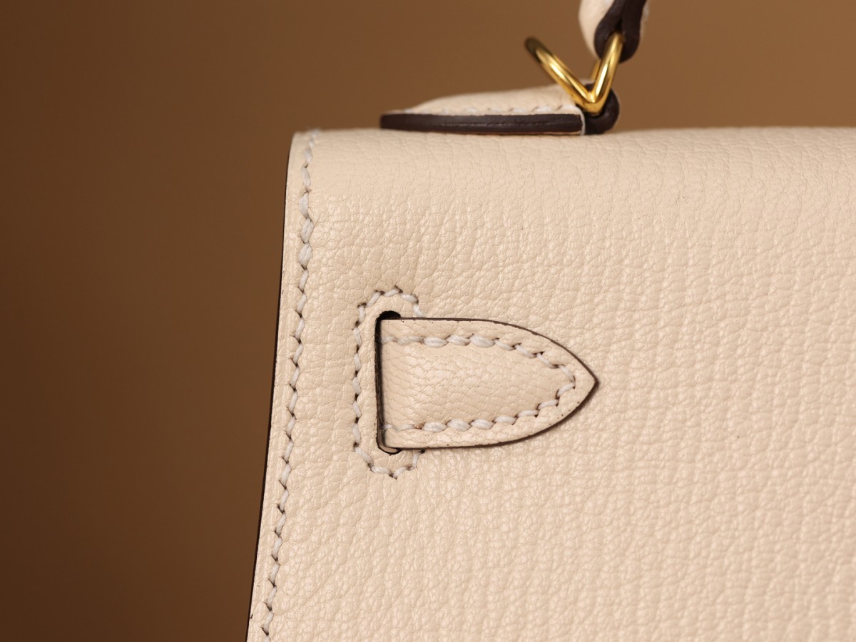 Shebag SupreGoat Mini Kelly 2-Ti o dara ju Didara iro Louis Vuitton apo Online itaja, Ajọra onise apo ru