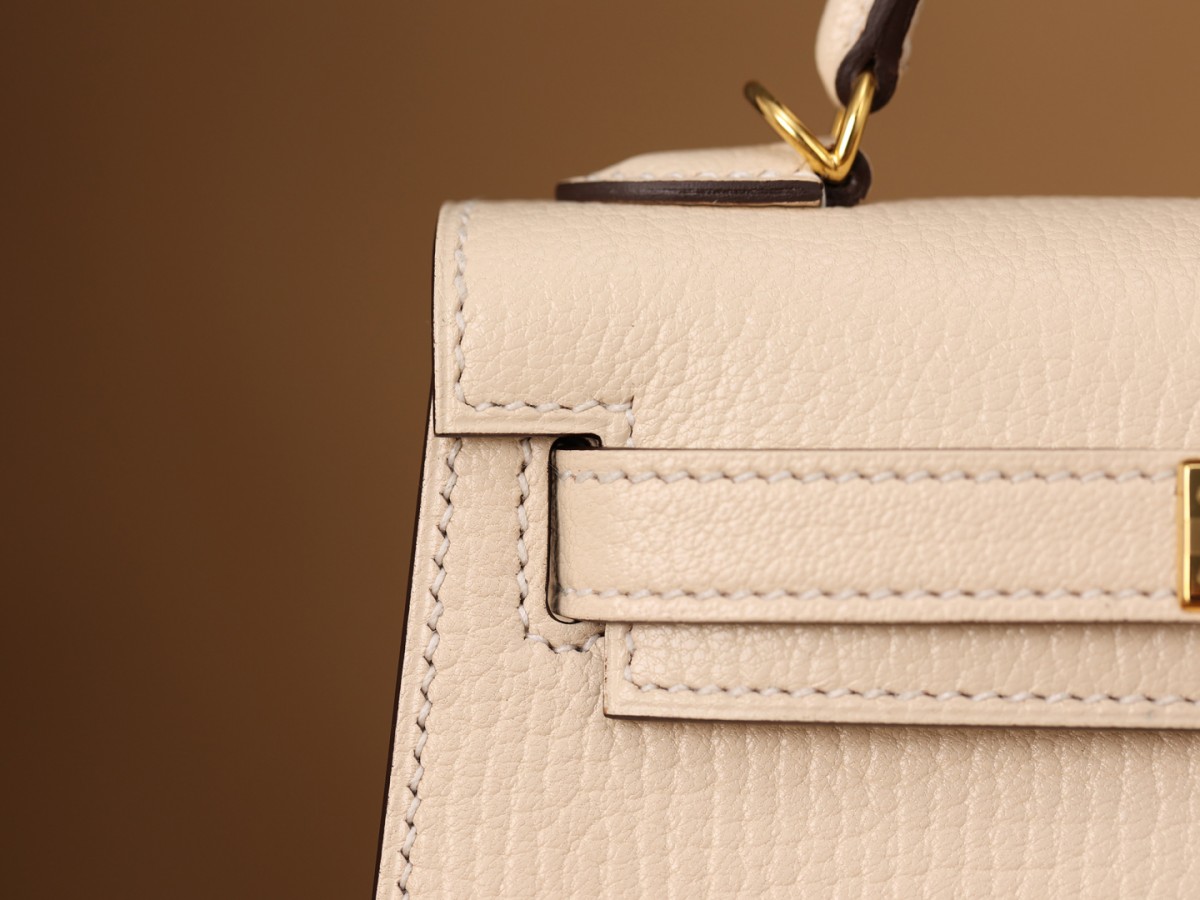 Shebag SupreGoat Mini Kelly 2-Ti o dara ju Didara iro Louis Vuitton apo Online itaja, Ajọra onise apo ru