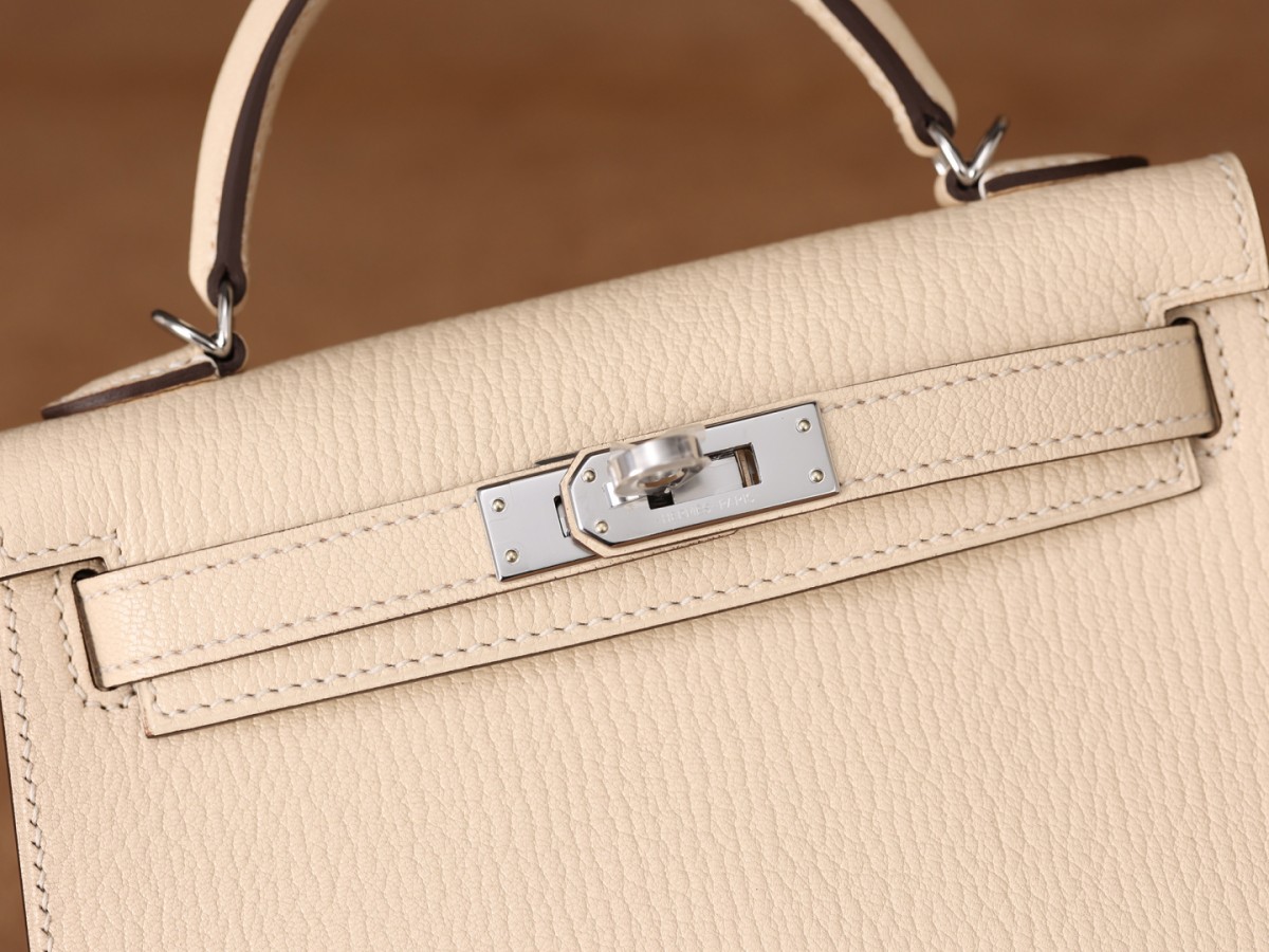 Shebag SupreGoat Mini Kelly 2-Ti o dara ju Didara iro Louis Vuitton apo Online itaja, Ajọra onise apo ru