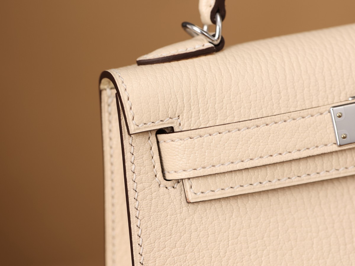 Shebag SupreGoat Mini Kelly 2-Ti o dara ju Didara iro Louis Vuitton apo Online itaja, Ajọra onise apo ru