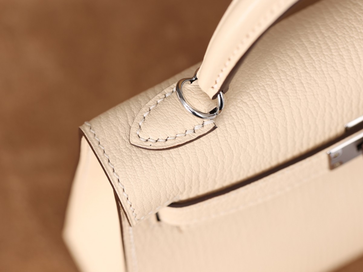 Shebag SupreGoat Mini Kelly 2-Ti o dara ju Didara iro Louis Vuitton apo Online itaja, Ajọra onise apo ru