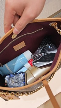 Shebag new batch Louis Vuitton Carryall BB bag review(Sep 2025 updated)-Best Quality Fake designer Bag Review, Replica designer bag ru