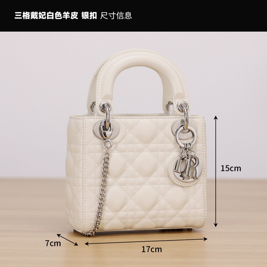 white lady dior silver hardware-Best Quality Fake Louis Vuitton Bag Online Store, Replica designer bag ru