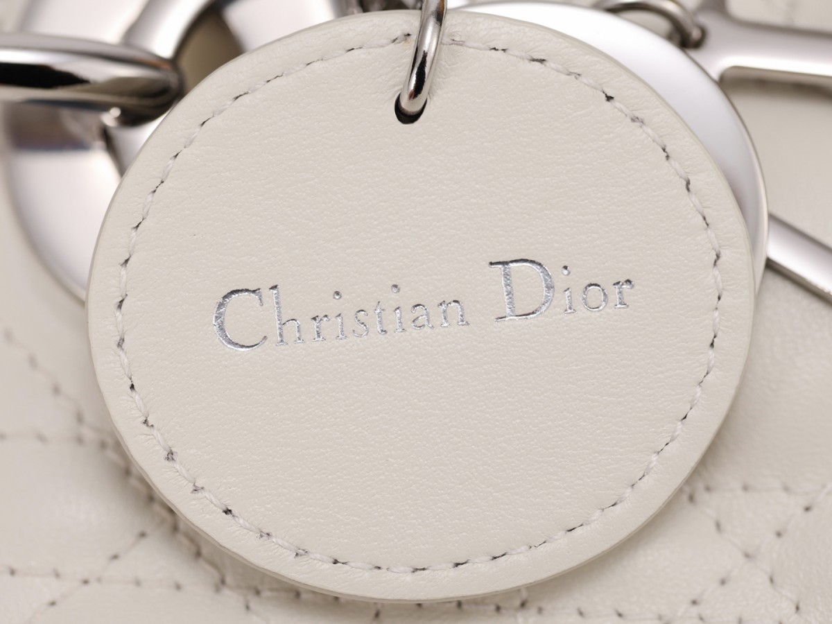white lady dior silver hardware-Best Quality Fake Louis Vuitton Bag Online Store, Replica designer bag ru