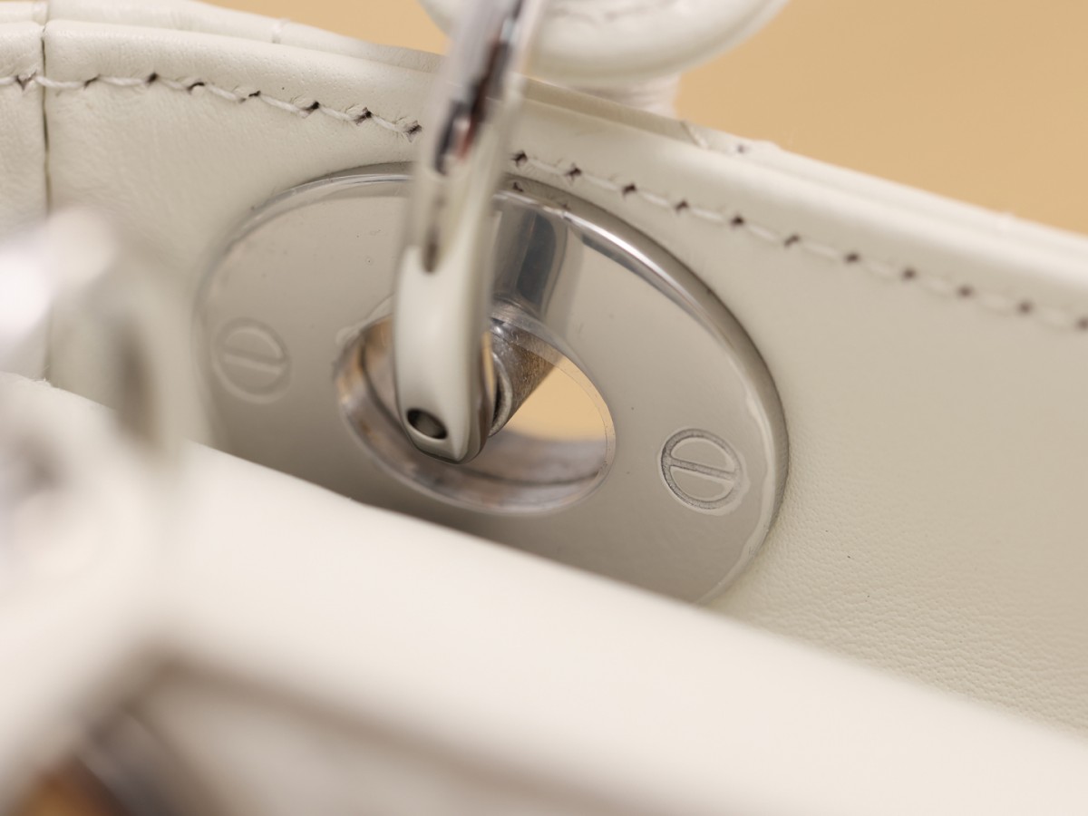 white lady dior silver hardware-Best Quality Fake Louis Vuitton Bag Online Store, Replica designer bag ru