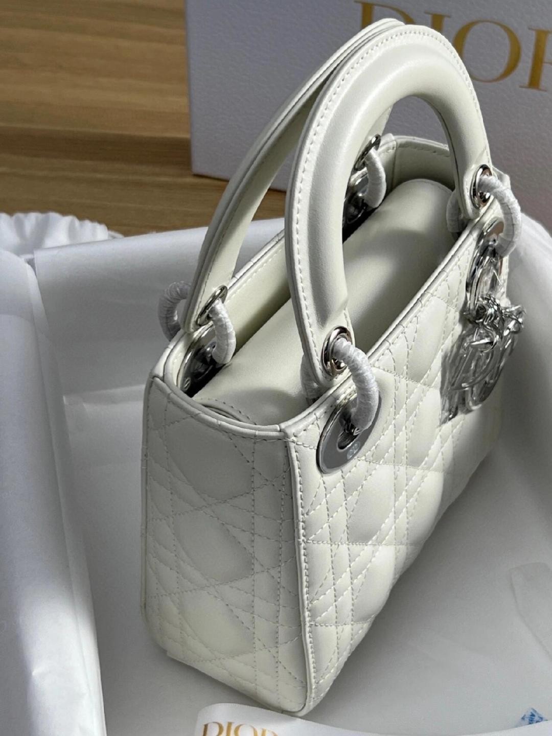 white lady dior silver hardware-Best Quality Fake Louis Vuitton Bag Online Store, Replica designer bag ru