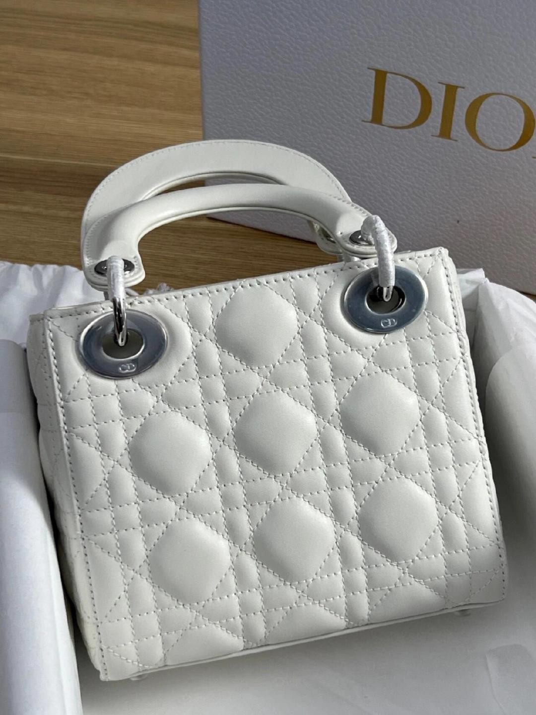 white lady dior silver hardware-Best Quality Fake Louis Vuitton Bag Online Store, Replica designer bag ru