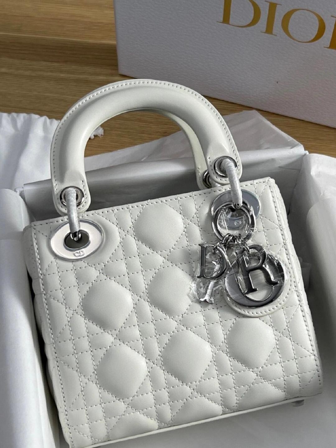 white lady dior silver hardware-Best Quality Fake Louis Vuitton Bag Online Store, Replica designer bag ru