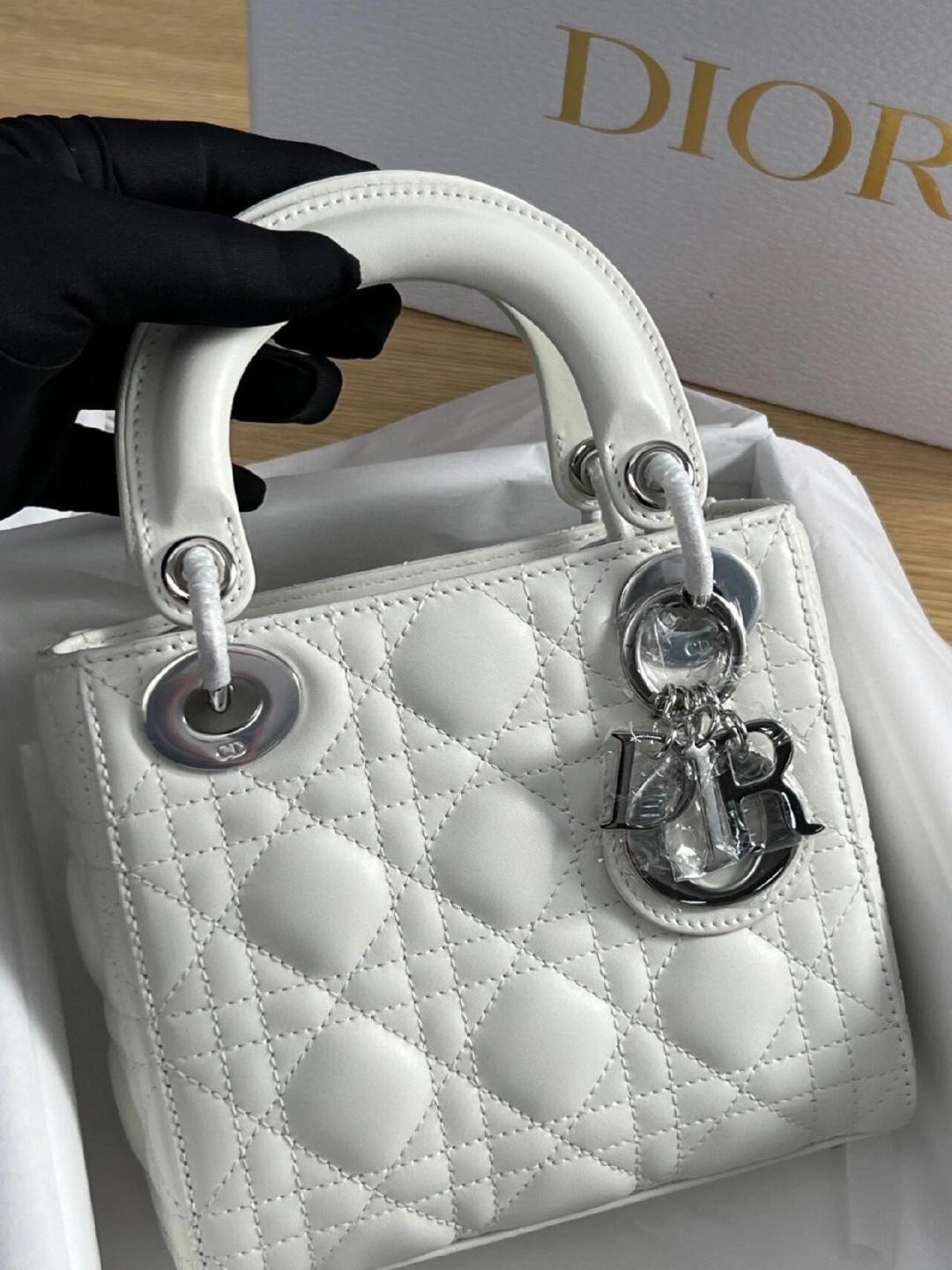 white lady dior silver hardware-Best Quality Fake Louis Vuitton Bag Online Store, Replica designer bag ru