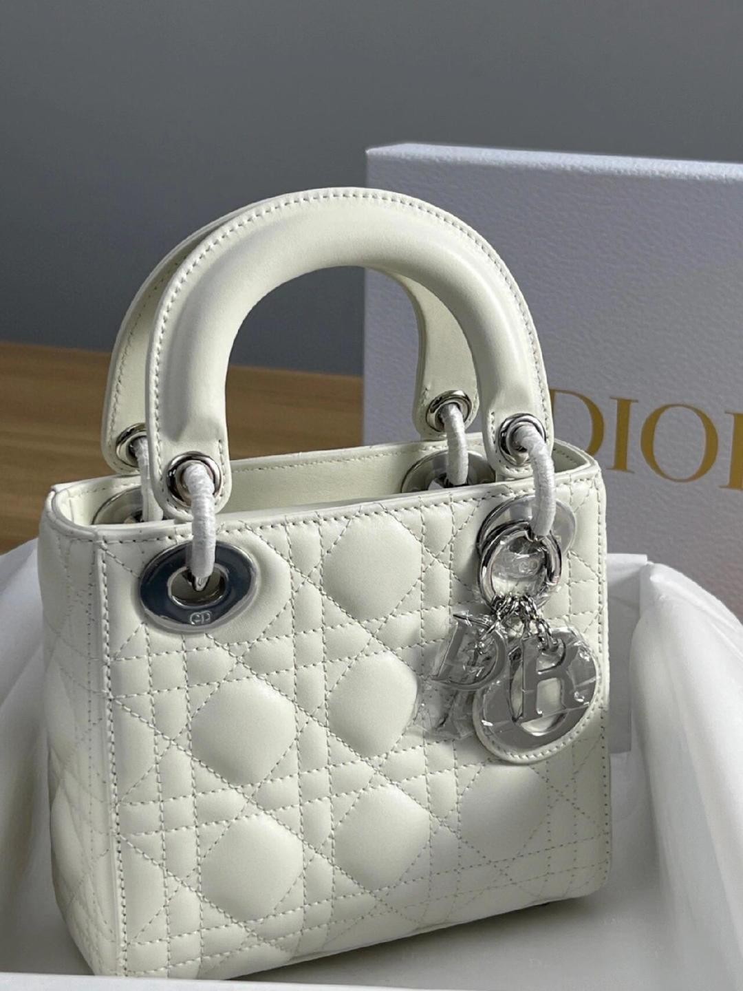 white lady dior silver hardware-Best Quality Fake Louis Vuitton Bag Online Store, Replica designer bag ru